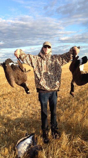 Greater Canada Goose