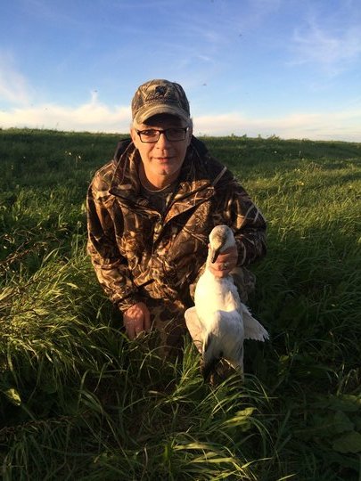 Snow Goose