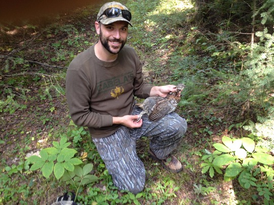 Ruffed Grouse