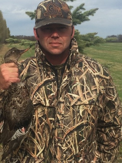 Gadwall Duck