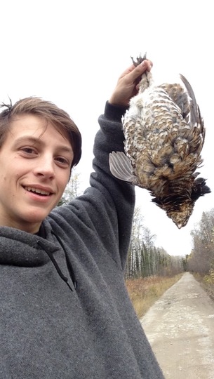 Spruce Grouse