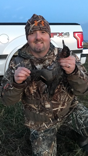 Green Winged Teal Duck