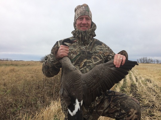 Lesser Canada Goose