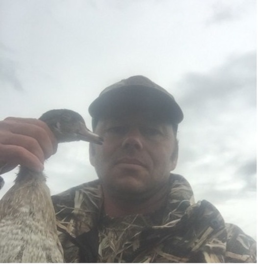 Green Winged Teal Duck