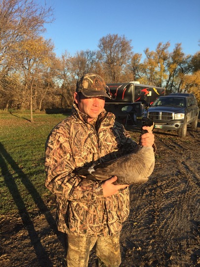 Lesser Canada Goose