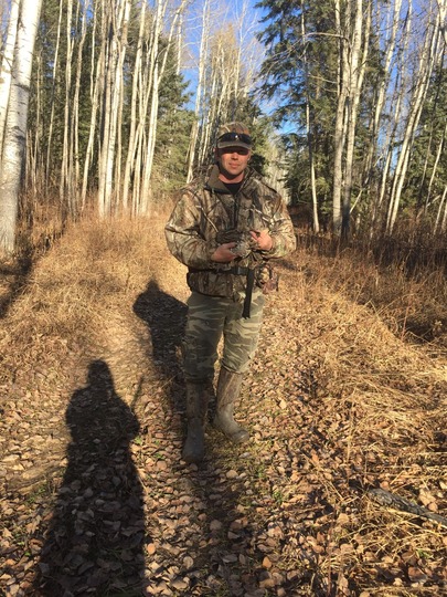 Sharptail Grouse
