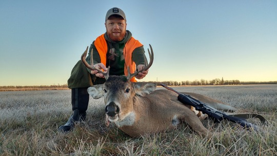 White-tailed Deer