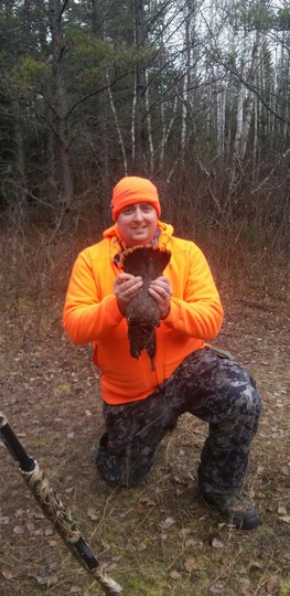 Spruce Grouse