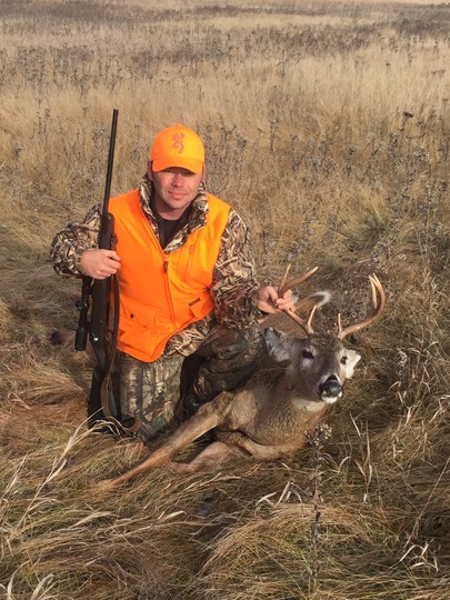 White-tailed Deer