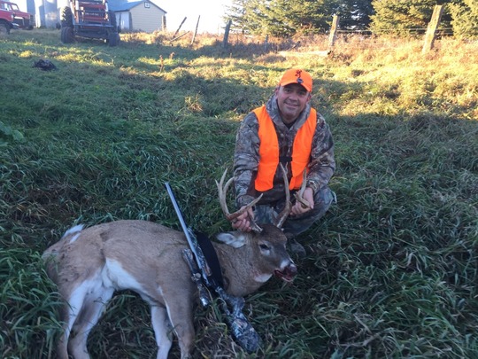 White-tailed Deer