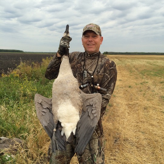 Greater Canada Goose