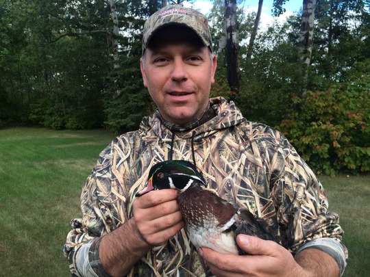 Wood Duck