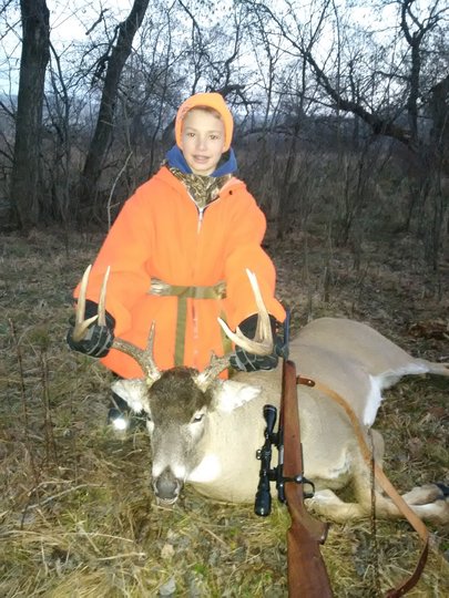 White-tailed Deer