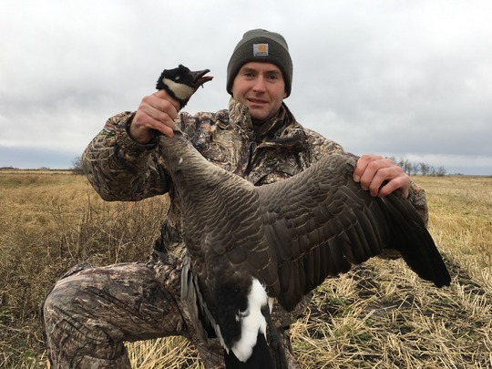 Lesser Canada Goose