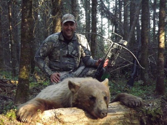 Boar Black Bear