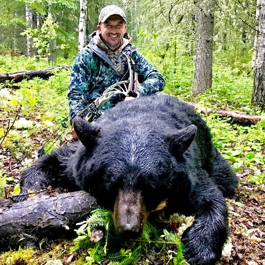 Boar Black Bear