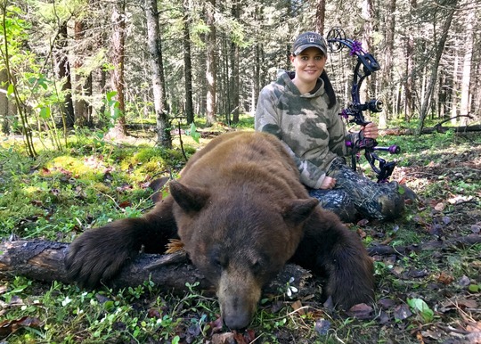 Boar Black Bear