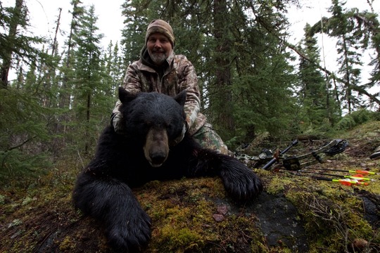 Boar Black Bear