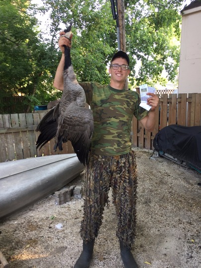 Greater Canada Goose