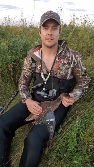 Shoveler Duck