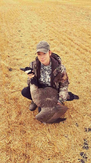 Greater Canada Goose