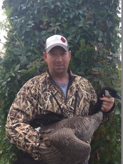 Lesser Canada Goose