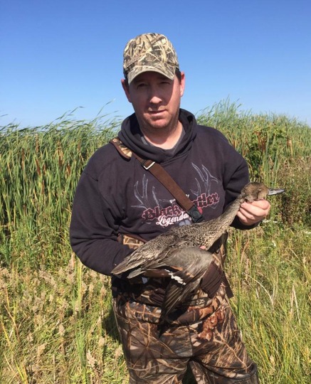 Pintail Duck