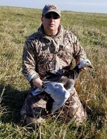 Blue Goose