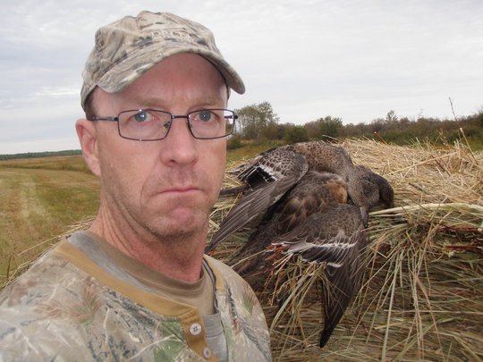 American Widgeon Duck