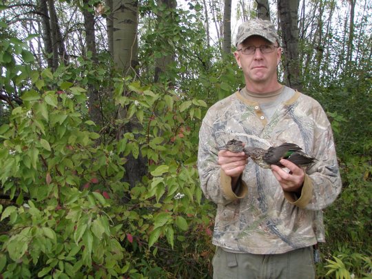 Green Winged Teal Duck