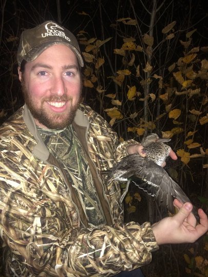 Green Winged Teal Duck