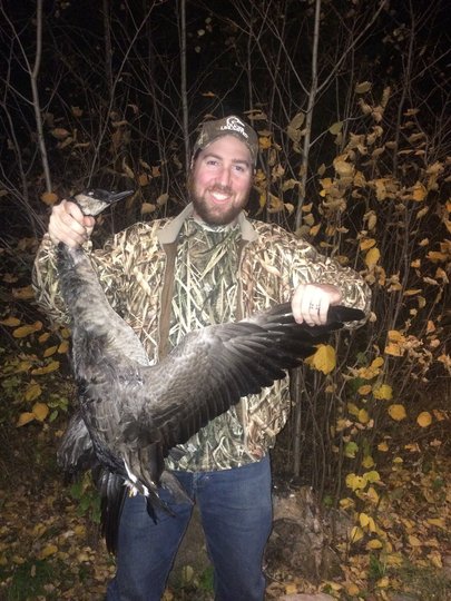 Greater Canada Goose
