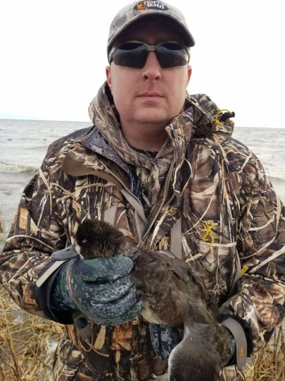 Lesser Scaup Duck