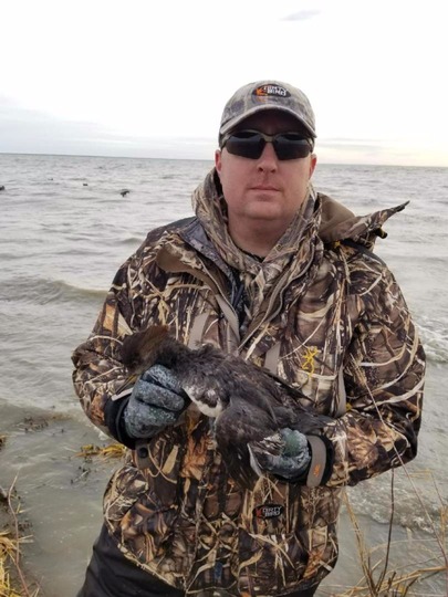 Merganser Duck