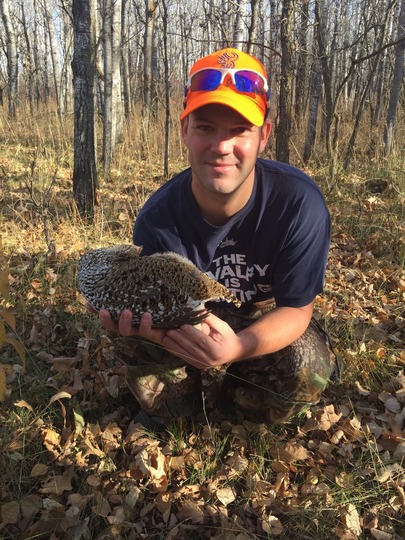Sharptail Grouse