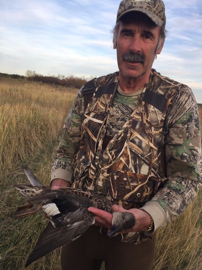 Gadwall Duck