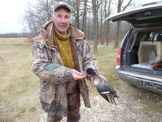 Lesser Scaup Duck