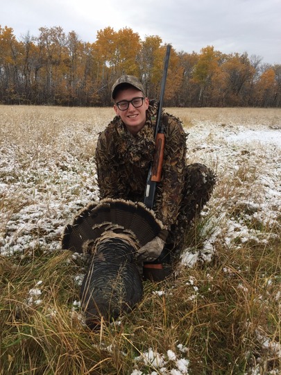 Wild Turkey