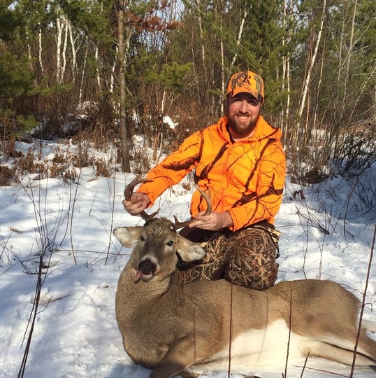 White-tailed Deer