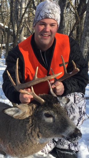 White-tailed Deer