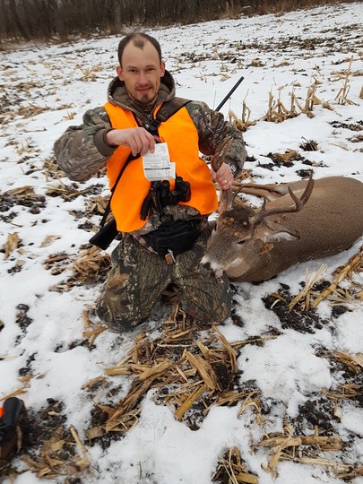 White-tailed Deer