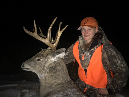 White-tailed Deer