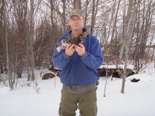 Sharptail Grouse