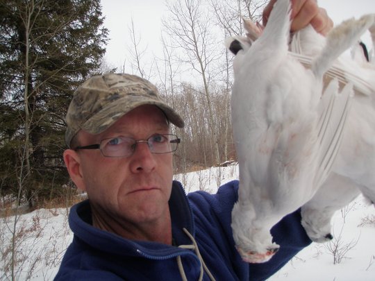 Ptarmigan