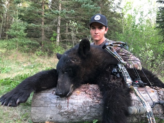 Boar Black Bear