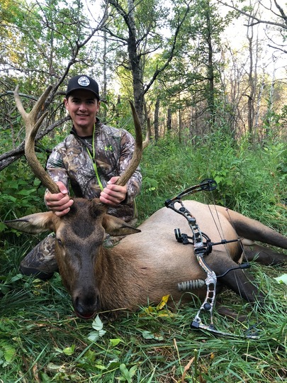 Elk