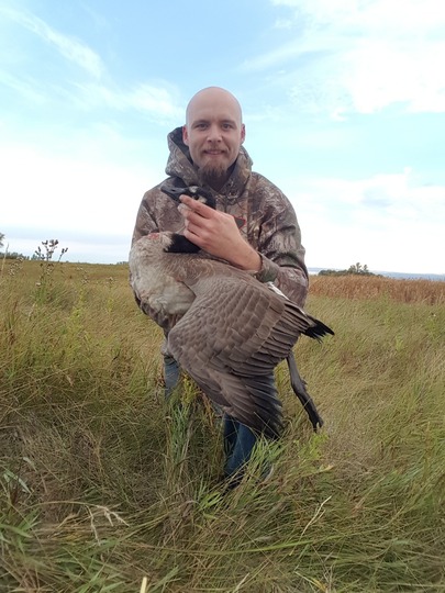 Lesser Canada Goose