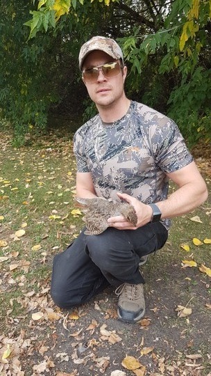 Gray (Hungarian) Partridge