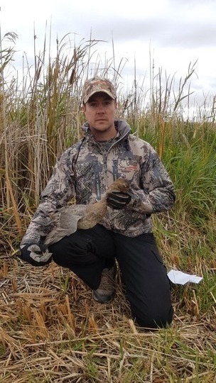 Canvasback Duck