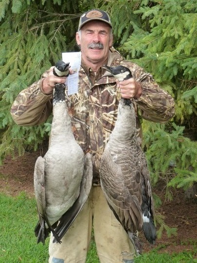 Greater Canada Goose